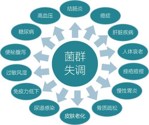 怎樣改善人體腸道菌群多樣性？除了飲食，研究發(fā)現(xiàn)它也非常有益