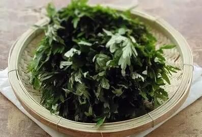 10款健康養(yǎng)生茶推薦 養(yǎng)生健康