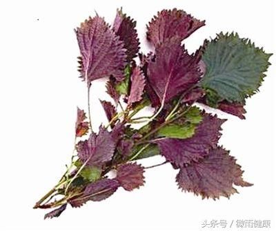 10種健康養(yǎng)生茶，很多老中醫(yī)都在偷著喝