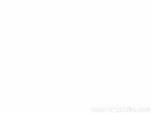 《第42課 體育基礎(chǔ)知識：合理的飲食習(xí)慣》PPT課件(部級優(yōu)課).ppt