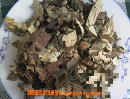 自制荷葉冬瓜減肥茶方法