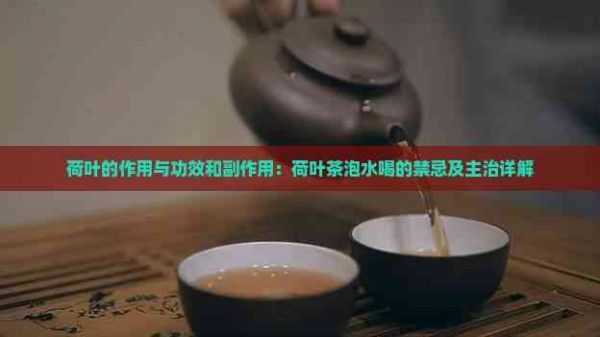 荷葉的作用與功效和副作用：荷葉茶泡水喝的禁忌及主治詳解