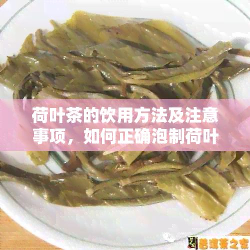 荷葉茶的飲用方法及注意事項(xiàng)，如何正確泡制荷葉茶？