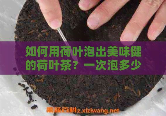如何用荷葉泡出美味健的荷葉茶？一次泡多少克？