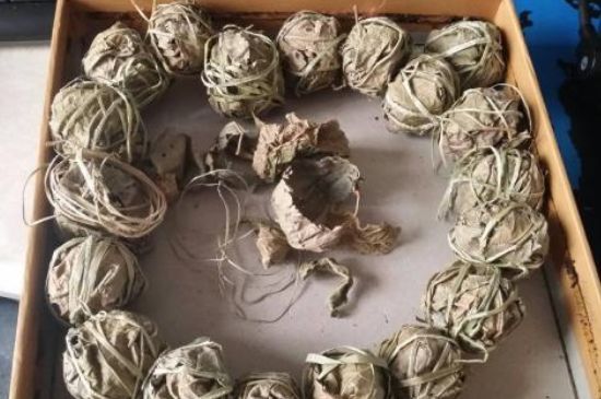 鷓鴣茶用拆開泡嗎，鷓鴣茶要解開繩子泡嗎