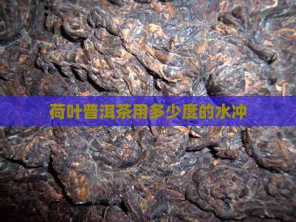 荷葉普洱茶用多少度的水沖