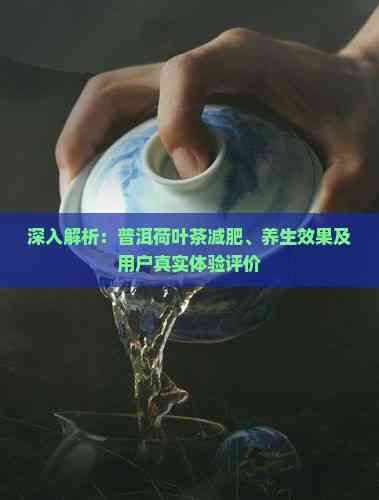 深入解析：普洱荷葉茶減肥、養(yǎng)生效果及用戶真實體驗評價