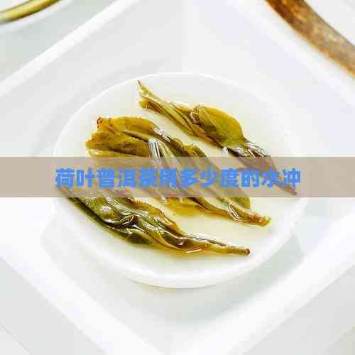 荷葉普洱茶用多少度的水沖