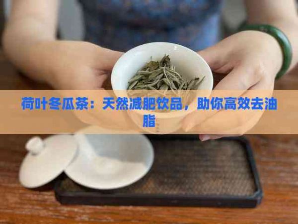 荷葉冬瓜茶：天然減肥飲品，助你高效去油脂