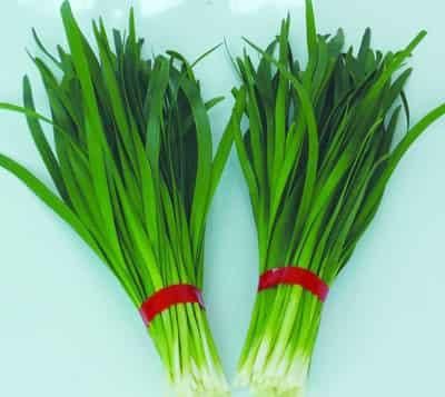 六款健康減肥食品，快速學(xué)會秋季減肥食譜 減肥食譜 第5張