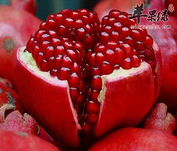 石榴的功效與作用 能補(bǔ)血養(yǎng)氣美容養(yǎng)顏