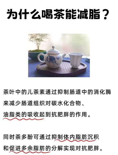 日本刮油減脂茶的測(cè)評(píng)報(bào)告，體驗(yàn)與效果分析