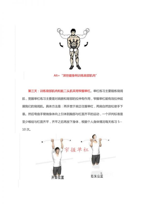 初级健身者增肌方案.doc_第3页
