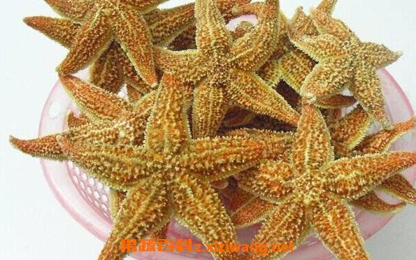 干海星怎么煲湯 干海星放什么一起煲湯