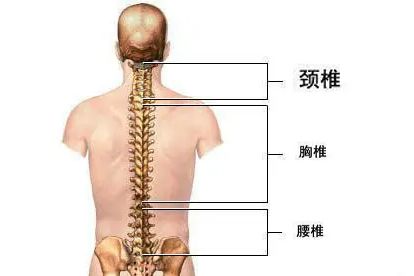 頸椎的功能鍛煉方法有哪些
