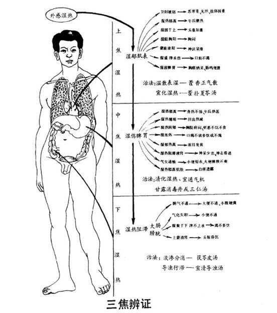 中醫(yī)診斷學(xué)－三焦辨證