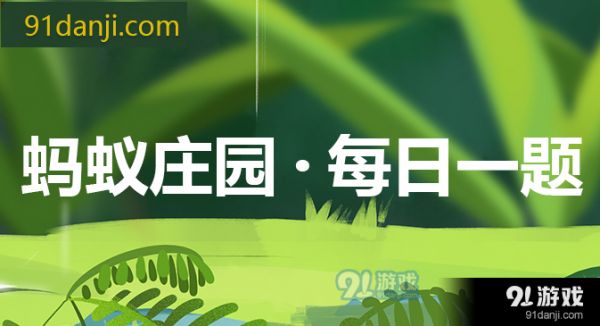 i.91danji螞蟻莊園答案