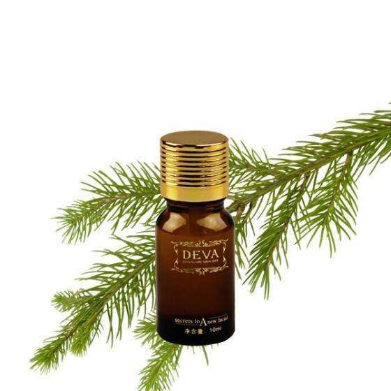 日本雪松精油是什么_日本雪松精油簡介