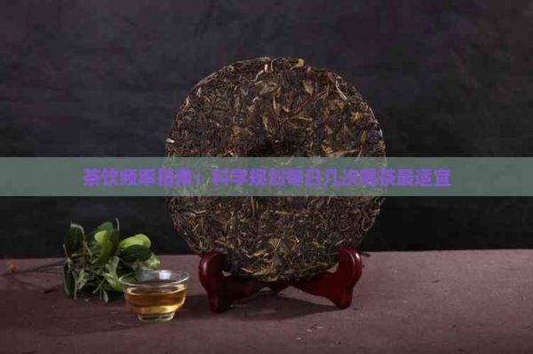 茶饮频率指南：科学规划每日几次喝茶最适宜
