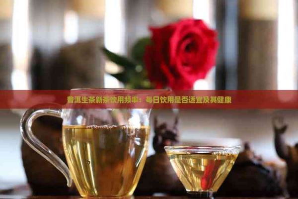 普洱生茶新茶饮用频率：每日饮用是否适宜及其健康