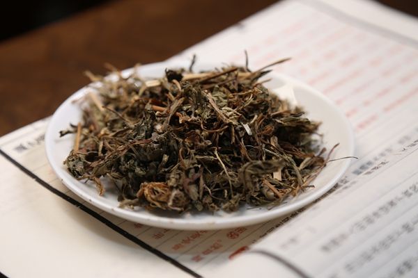 蒲公英 饮用频率 个人体质 季节调节 健康状况