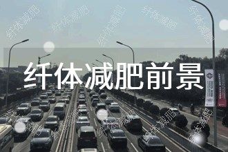 2025年纤体减肥发展前景 趋势预测
