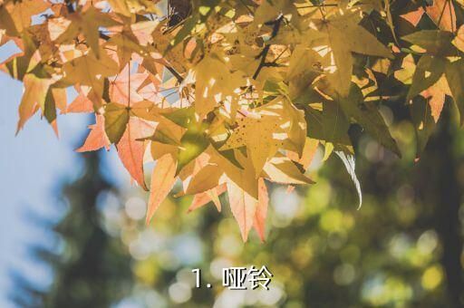 1. 啞鈴
