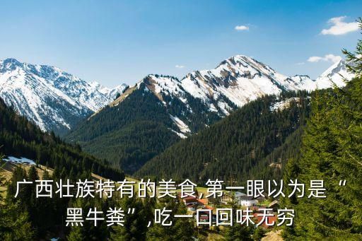 广西壮族特有的美食,第一眼以为是“黑牛粪”,吃一口回味无穷