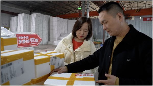 ▲商家宮曉麗夫婦正在查看已經(jīng)打包好的旱黃瓜。 薛童 | 攝