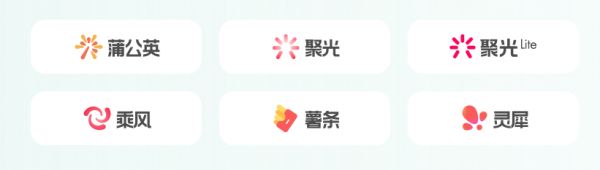 B2B企業(yè)布局小紅書的運(yùn)營秘籍
