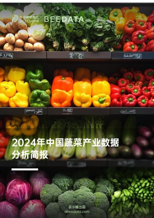 农小蜂-2024年中国蔬菜产业数据分析简报_第1页