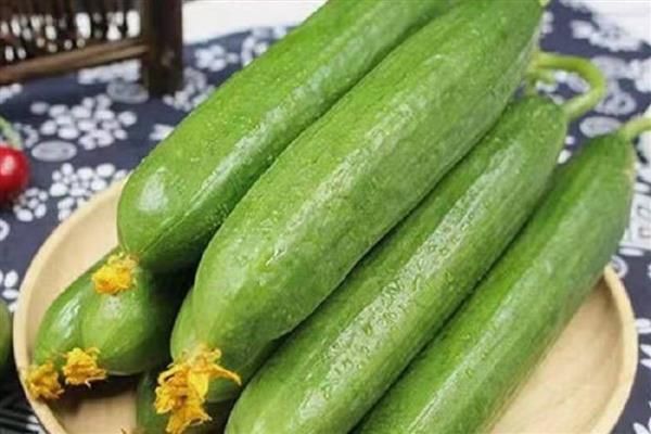 水果黄瓜的品种，常见申青小脆、航瓜玉妮等6个品种