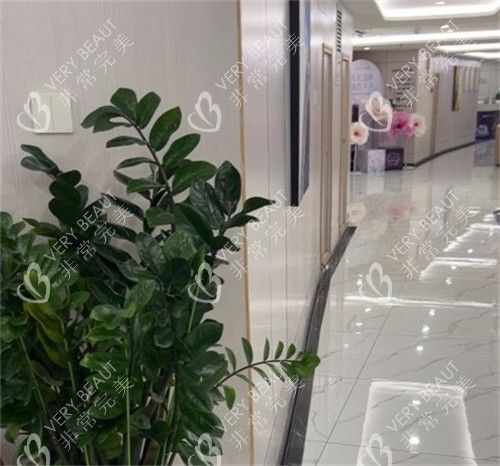 珠海九龙整形环境展示