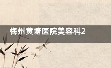 梅州黄塘医院美容科2025新价目表解析：隆胸/抽脂/眼整形价格全公开！