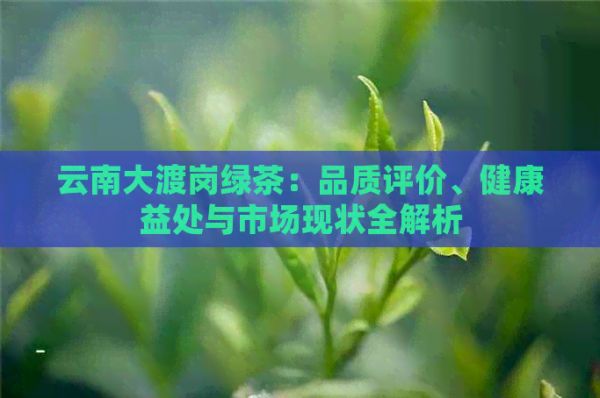 云南大渡岗绿茶：品质评价、健康益处与市场现状全解析