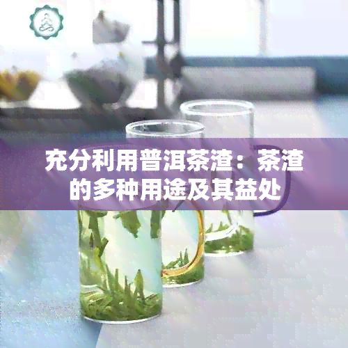 充分利用普洱茶渣：茶渣的多种用途及其益处