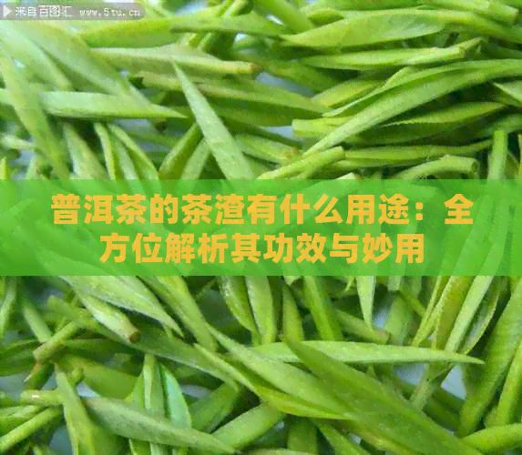 普洱茶的茶渣有什么用途：全方位解析其功效与妙用