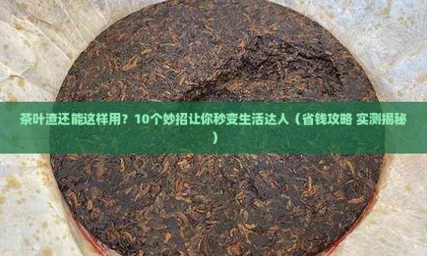 茶叶渣不要扔有十大妙用