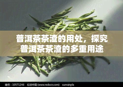 普洱茶茶渣的用处，探究普洱茶茶渣的多重用途