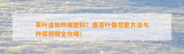 茶叶渣如何做肥料？废茶叶做花肥 与种菜视频全攻略！