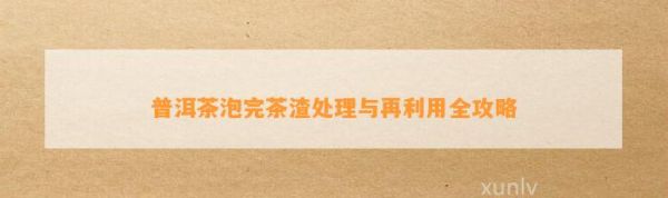 普洱茶泡完茶渣处理与再利用全攻略