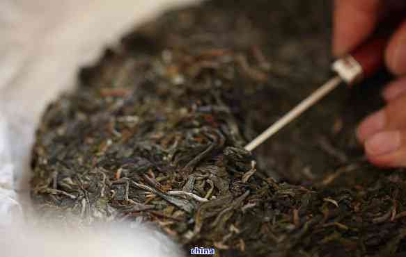 普洱茶泡完茶渣处理与再利用全攻略