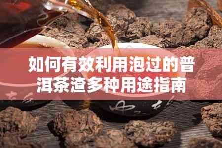 如何有效利用泡过的普洱茶渣多种用途指南