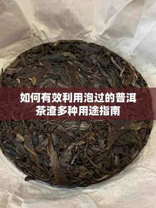 如何有效利用泡过的普洱茶渣多种用途指南