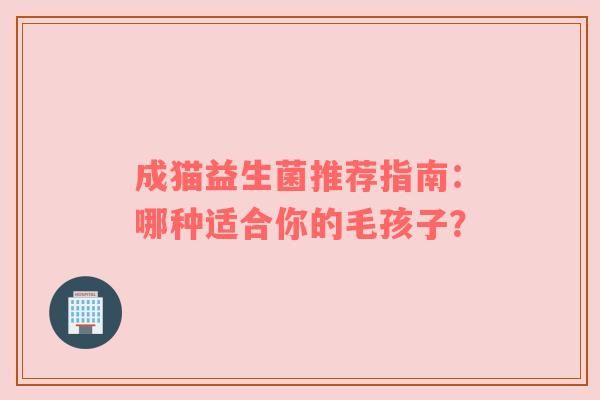 成貓益生菌推薦指南：哪種適合你的毛孩子？