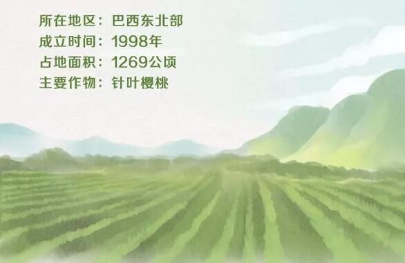 安利紐崔萊好不好？