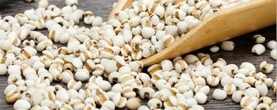 薏米怎么吃最除湿减肥 薏米除湿什么时候喝