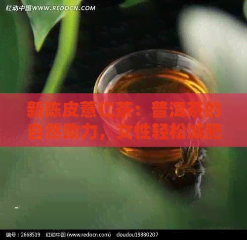 新陳皮薏仁茶：普洱茶的自然助力，女性輕松減肥的秘密武器