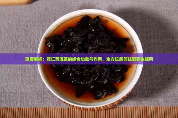 深度解析：薏仁普洱茶的綜合功效與作用，全方位解答祛濕養(yǎng)生疑問(wèn)