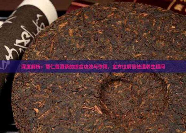 深度解析：薏仁普洱茶的綜合功效與作用，全方位解答祛濕養(yǎng)生疑問(wèn)